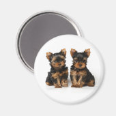 Twee puppies magneet (Voorkant / Achterkant)