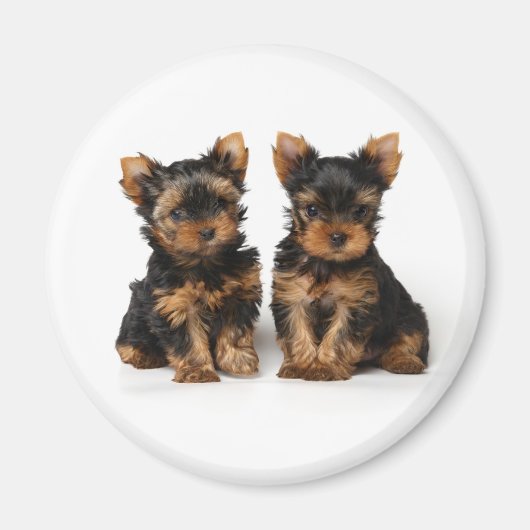 Twee puppies magneet (Voorkant)