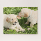 Twee Puppies met geel gele lobby's Legpuzzel (Horizontaal)