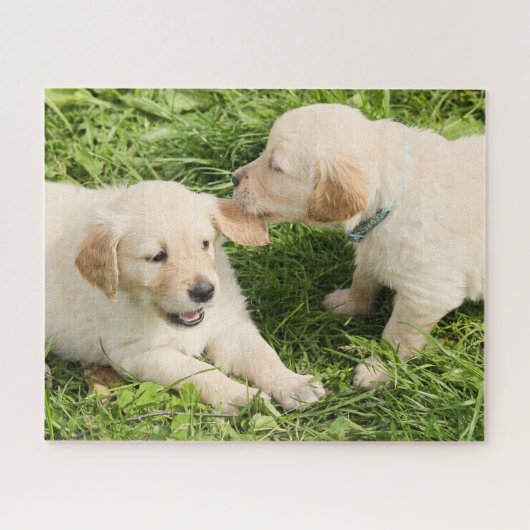 Twee Puppies met geel gele lobby's Legpuzzel (Horizontaal)
