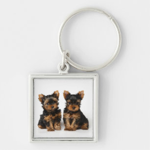 Twee puppies sleutelhanger
