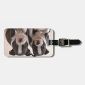 Twee Puppies van Boston Terrier Bagagelabel (Voorkant horizontaal)