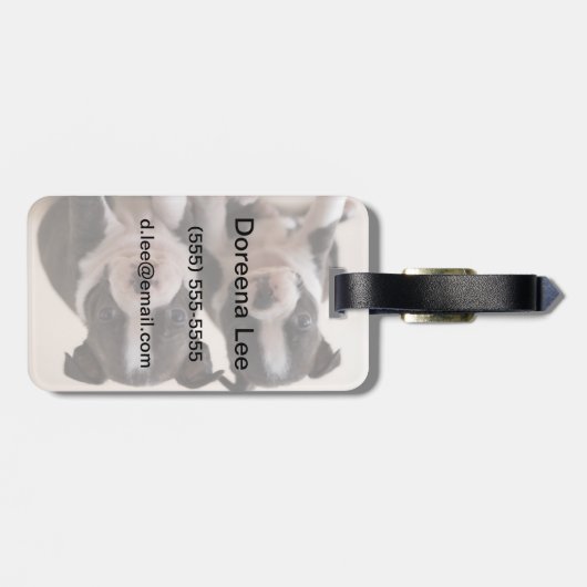 Twee Puppies van Boston Terrier Bagagelabel (Achterkant horizontaal)