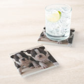 Twee Puppies van Boston Terrier Glazen Onderzetter (Schuin)