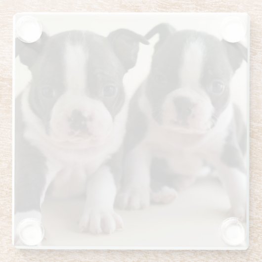 Twee Puppies van Boston Terrier Glazen Onderzetter (Achterkant)