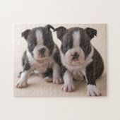 Twee Puppies van Boston Terrier Legpuzzel (Horizontaal)