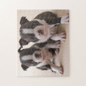 Twee Puppies van Boston Terrier Legpuzzel (Verticaal)