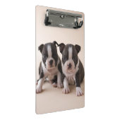 Twee Puppies van Boston Terrier Mini Klembord (Schuin)