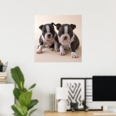 Twee Puppies van Boston Terrier Poster (Thuiskantoor)