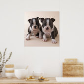 Twee Puppies van Boston Terrier Poster (Keuken)