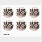 Twee Puppies van Boston Terrier Ronde Sticker (Vel)