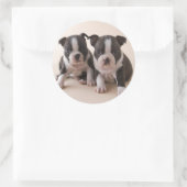 Twee Puppies van Boston Terrier Ronde Sticker (Tas)