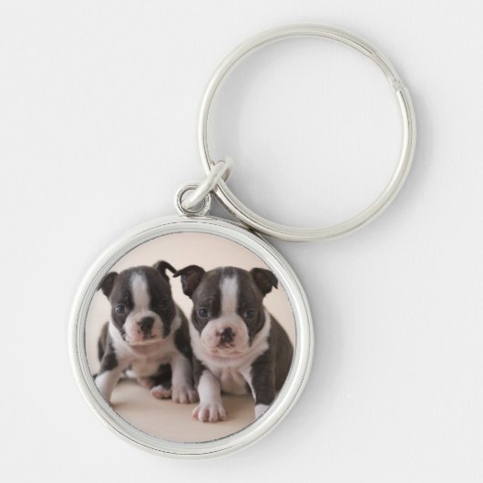 Twee Puppies van Boston Terrier Sleutelhanger (Voorkant)