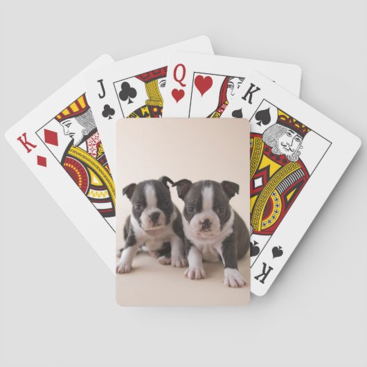 Twee Puppies van Boston Terrier Speelkaarten (Achterkant)