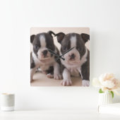 Twee Puppies van Boston Terrier Vierkante Klok (Huis)