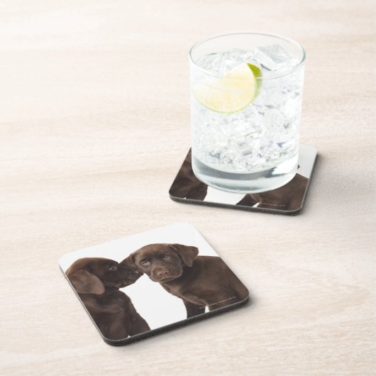 Twee Puppies voor chocolade-labrador-reproductiedr Bier Onderzetter (Rechterzijde)