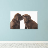 Twee Puppies voor chocolade-labrador-reproductiedr Canvas Afdruk (Insitu (Houten vloer))