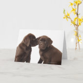 Twee Puppies voor chocolade-labrador-reproductiedr Kaart (Gele Bloem)