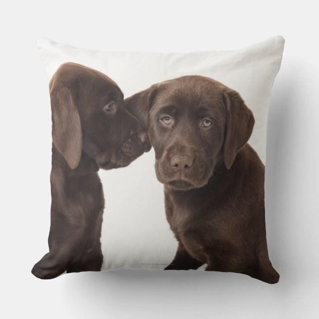 Twee Puppies voor chocolade-labrador-reproductiedr Kussen (Voorkant)
