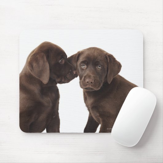 Twee Puppies voor chocolade-labrador-reproductiedr Muismat (Met muis)