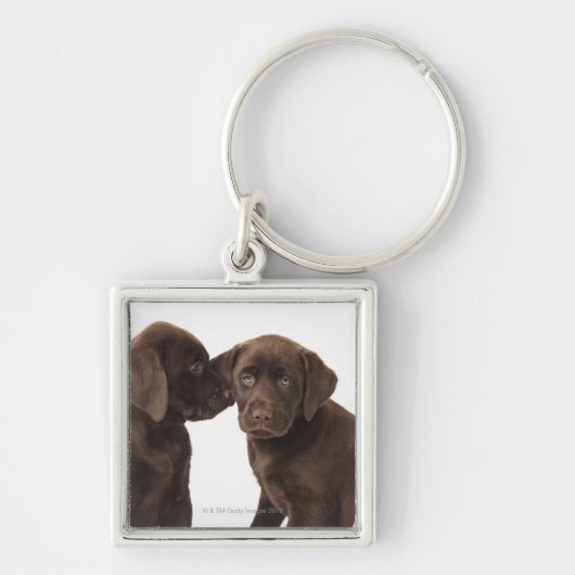 Twee Puppies voor chocolade-labrador-reproductiedr Sleutelhanger (Voorkant)