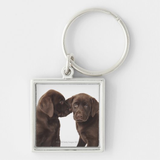 Twee Puppies voor chocolade-labrador-reproductiedr Sleutelhanger (Voorkant)