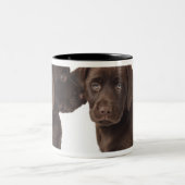 Twee Puppies voor chocolade-labrador-reproductiedr Tweekleurige Koffiemok (Center)