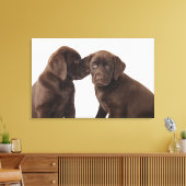 Twee Puppies voor chocolade-labrador-reproductietr Canvas Afdruk (Insitu (Woonkamer))