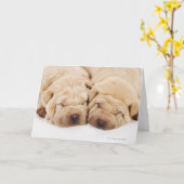 Twee "puppy" van Shar Pei het slapen Kaart (Gele Bloem)