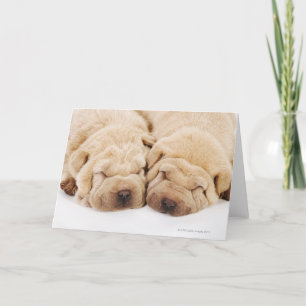 Twee "puppy" van Shar Pei het slapen Kaart