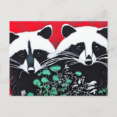 Twee Raccoons Briefkaart (Voorkant)