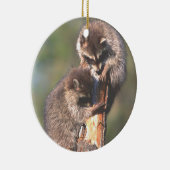 Twee Racons op Stump Ornament (Rechts)