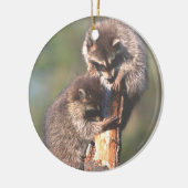 Twee Racons op Stump Ornament (Links)