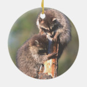 Twee Racons op Stump Ornament (Achterkant)