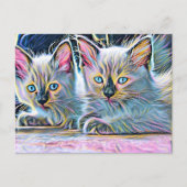 Twee ragdoll kittens briefkaart (Voorkant)