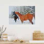 Twee Ranch Horses die spelen in de wintersneeuwen Poster (Keuken)