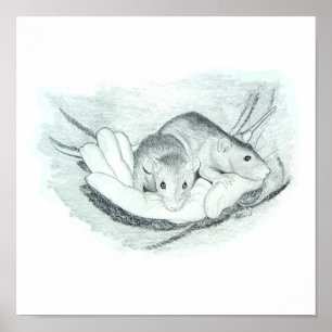 Twee ratten in de hand poster