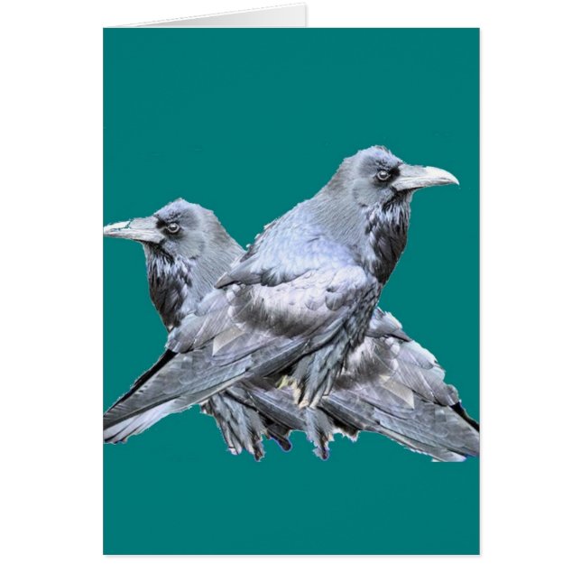 Twee Ravens blauwgroen cadeaus (Voorkant)