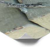 Twee ravens die op een bank buiten het Poster word (Hoek)