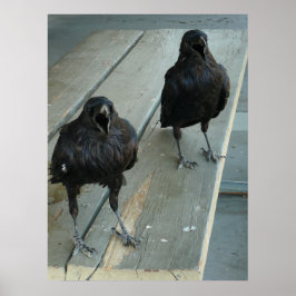 Twee ravens die op een bank buiten het Poster word