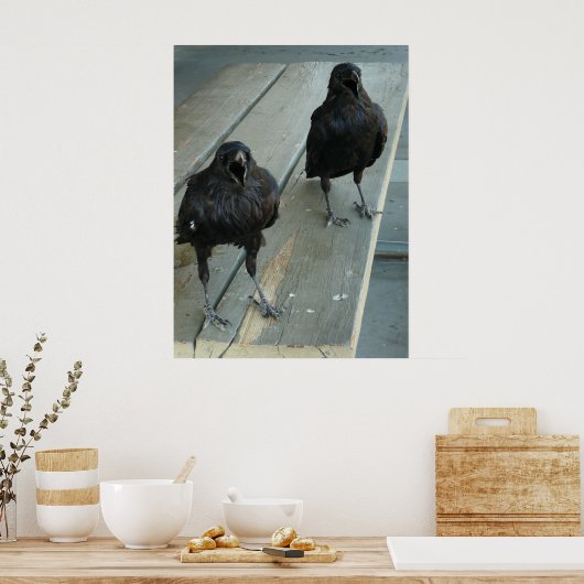 Twee ravens die op een bank buiten het Poster word (Keuken)