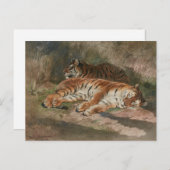 Twee rechthoekige tigers (1887) briefkaart (Voorkant / Achterkant)
