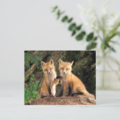 Twee Red Fox Pups voor hun Den Haag Briefkaart (Staand voorkant)