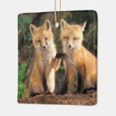 Twee Red Fox Pups voor hun Den Haag Keramisch Ornament (Links)