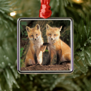 Twee Red Fox Pups voor hun Den Haag Metalen Ornament