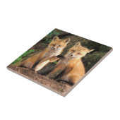 Twee Red Fox Pups voor hun Den Haag Tegeltje (Zijkant)