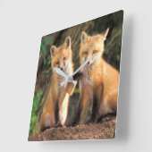 Twee Red Fox Pups voor hun Den Haag Vierkante Klok (Hoek)