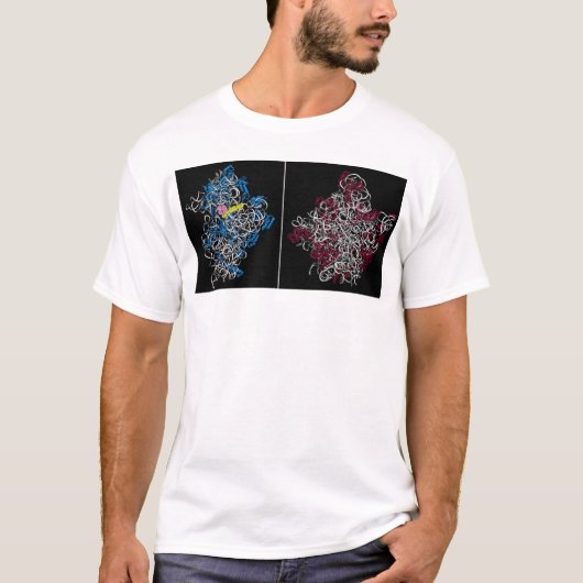 twee ribosomale subeenheden met trna en mrna t-shirt (Voorkant)