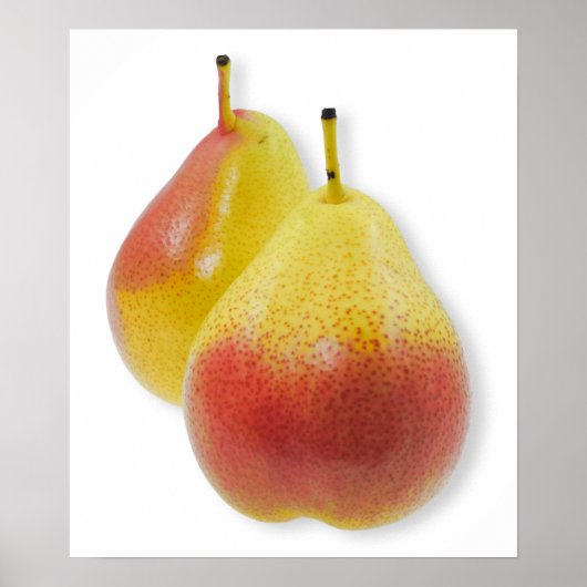 Twee rijpe peren poster (Voorkant)