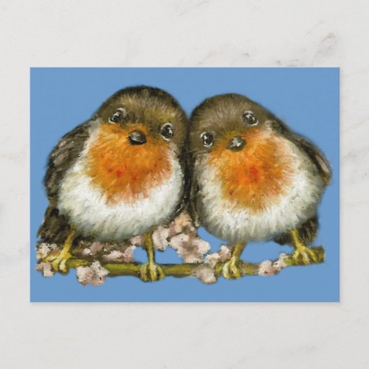 twee robins briefkaart (Voorkant)